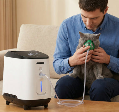 Ossigenoterapia Domestica: Come il VARON VH-2 Supporta Energia e Benessere del Tuo Animale